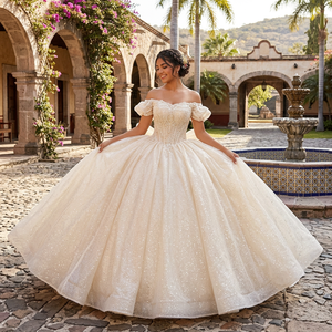 8527 Glitter Champagne <b>Boat</b> Neck Bow Puffy Quinceanera Gowns Dresses For Women - Product Image 1