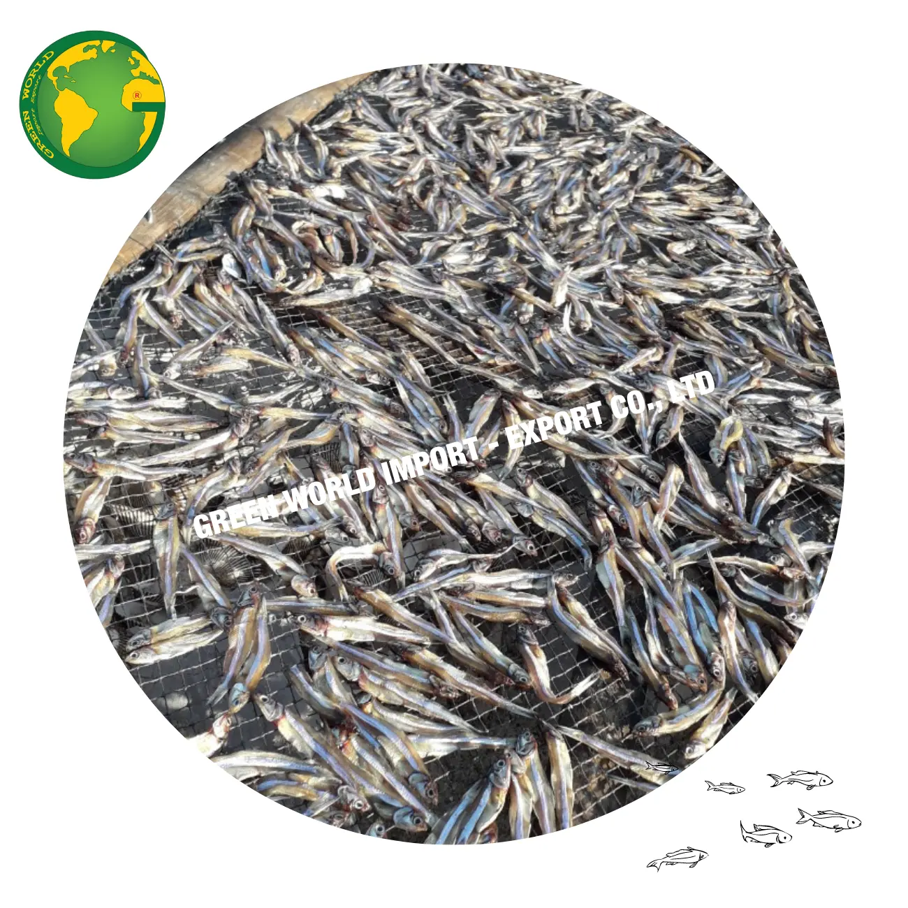 ANCHOVY-pescado seco en nueva temporada, venta al por mayor de VIETNAM, calidad prémium y precio atractivo para peces de anchoa