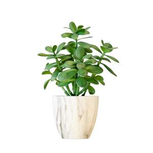 Planteur en marbre de grande qualité à prix raisonnable pour la décoration de plantes de table, ajoutant de la sophistication à l'aménagement intérieur. - Product Image 6