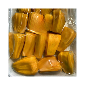 Fruit du jacquier congelé du Vietnam pour l'exportation en gros idéal pour les desserts smoothies et les recettes végétaliennes - Product Image 3