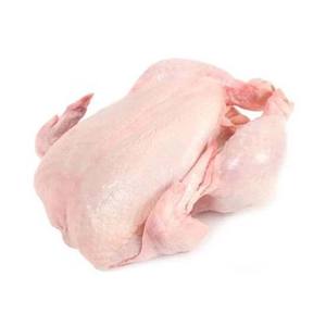 Pollo entero congelado de calidad de exportación con logística confiable de cadena de frío - Product Image 3