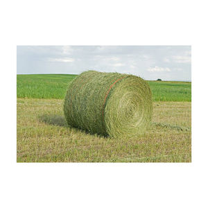 Granulés et balles de foin d'alfalfa de haute qualité, riches en protéines, pour l'alimentation des chevaux et des poissons, origine Allemagne, emballage en vrac - Product Image 5