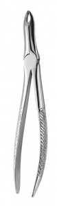 Pinzas de Extracción Dental Universales de Acero Inoxidable con Recubrimiento de Cromo, Instrumento Reutilizable Autoclavable - Product Image 2