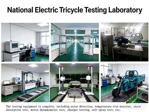 Triciclo Eléctrico de Alta Calidad de Fábrica de Hong Kong, 4000W 5000W, para 7 Pasajeros, con Garantía y Servicio Postventa - Product Image 6