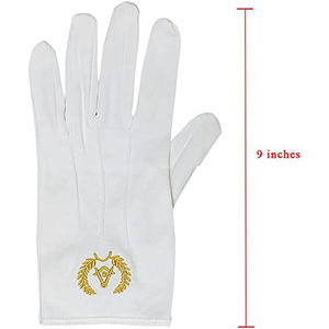 Bordado al por mayor tamaño personalizado transpirable y cómodo algodón blanco Iglesia bordado masónico masón guantes - Product Image 3