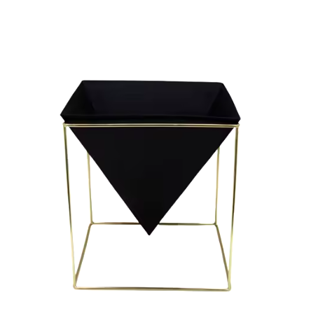 ตามที่แสดง