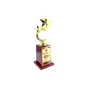 Trofeo de estrella de metal elegante de fabricación india por reconocer un rendimiento excepcional disponible al mejor precio - Product Image 3