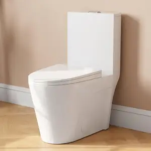 Toilette monobloc allongée pour salle de bain, toilette confortable à double chasse d'eau et hauteur de siège de chaise, cuvette de toilette brute de 12 pouces