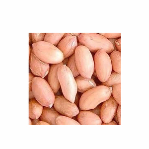 Bocadillos de cacahuete tostados secos a granel orgánicos 278G alto nutritivo Original de China procesamiento crudo comparable cacahuetes indios Yemen - Product Image 2