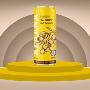 เครื่องดื่มชา Kombucha ราคาดีผลไม้เวียดนามและขิงหมักวิตามินดีพร้อมดื่มผู้ผลิตจากเวียดนาม - Product Image 2