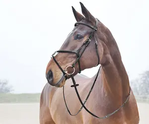 Cross Noseband Bridle Ergonomically designed headstall and crown offers an exceptional fit for this durable and stylish bridle