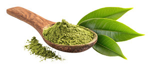 Poudre de Moringa pure en gros, poudre d'extrait de feuilles de Moringa de qualité alimentaire pure en vrac (Moringa Oleifera) pureté 99%+ en provenance d'Inde - Product Image 2