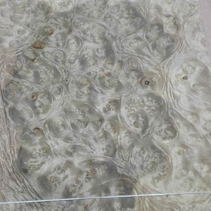 Exotic <strong>Golden</strong> Camphor <strong>Burl</strong> <strong>Veneer</strong> - Product Image 3