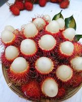 Bieden Puur Natuur Rambutans-Tropisch Fruit-Product Vorm Vietnam Met De Beste Prijs 100% Hoge Kwaliteit Klaar Om Te Exporteren