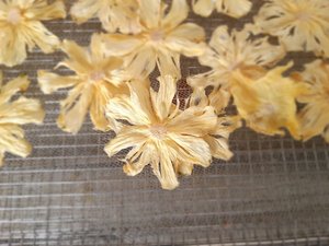 อาหารสำเร็จรูปผลไม้สับปะรดอบแห้งชิ้นสับปะรดอบแห้ง // shyn Tran - Product Image 6