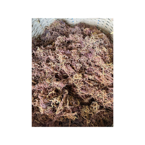 Premium Vietnamese Eucheuma Cottonii <b>Seaweed</b> Carefully Processed to Ensure Purity and Quality Suitable for Various - Product Image 1