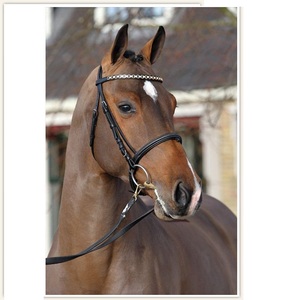 MEILLEURE bride de cheval de haute qualité avec bande de front en cristal pour chevaux NOUVEAU cheval noir bride en cuir fantaisie - Product Image 5