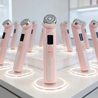 Masseur facial portable à succès, appareil de luminothérapie, technologie cutanée, machine à micro-courant, outil de soin du visage
