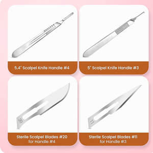 Kit de Dissection Professionnel en Acier Inoxydable – Instruments Multifonctionnels pour Botanique, Anatomie, Formation Médicale et Vétérinaire 2026 - Product Image 6