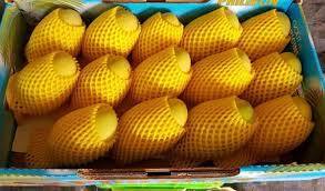 Xoài tươi cao cấp có sẵn với giá số lượng lớn để vận chuyển trên toàn thế giới - Product Image 4