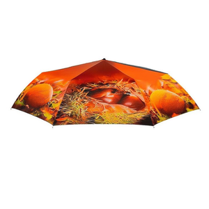 Paraguas con Motivo Otoñal - Product Image 3
