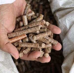 Briquetas de Madera de 8mm de Alta Eficiencia para Estufas Residenciales e Industriales, Combustible de Palets Reciclados Hecho en Vietnam, Bajo Contenido de Cenizas - Product Image 3