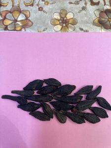 Produit agricole de qualité supérieure Harad noir ayurvédique - Product Image 4