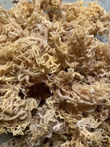 Vente en gros de mousse de mer séchée de haute qualité du Vietnam Mousse de mer irlandaise rôtie en vrac avec emballage de sac d'algues à bas prix - Product Image 3