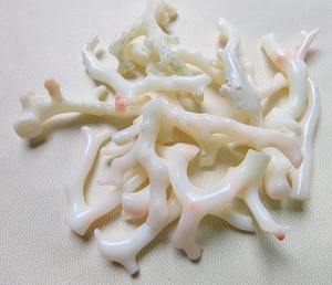 Palo de coral japonés genuino, 14 piezas, palo pulido de coral blanco, piedra preciosa suelta de coral japonés - Product Image 2