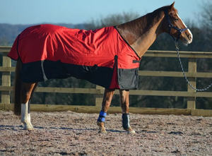 Alfombras de caballo de invierno hechas a medida de la mejor calidad, poliéster ligero, impermeable y transpirable - Product Image 5