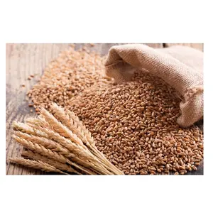 Лучшая цена, органическое цельнозерновой пшеничный зерно оптом, Доступно с индивидуальной упаковкой