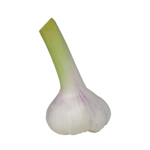 Ail frais pelé de qualité supérieure, en gros et à prix avantageux - Product Image 6