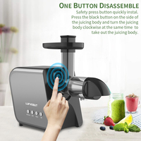 Professionele Stille Stille Smoothie Juicer Koudgeperst Fruit Ananas Slow Juicer Machine
