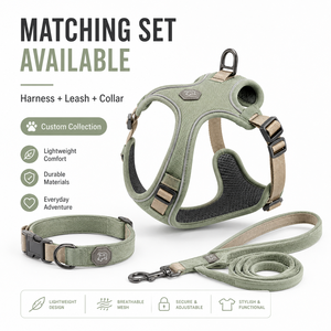 Imbracatura <span class=keywords><strong>Casual</strong></span> Leggera per Animali Domestici Sage, Imbottitura in Rete Ventilata, Anello a D Rinforzato, Logo Personalizzabile, Adatta per Tutte le Stagioni - Product Image 4