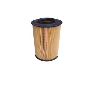 FILTRO DE AIRE FORD Transit Connect Series (13>) AV619601AD Gasolina - Product Image 1