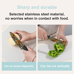 Couteau de chef en céramique à livraison rapide avec manche en plastique pour outils de cuisine – Vente chaude, approvisionnement en gros en stock - Product Image 6