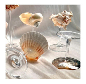 Vasos de Martini Seashell personalizados para decoración costera del hogar y bebidas de fiesta de verano - Product Image 1