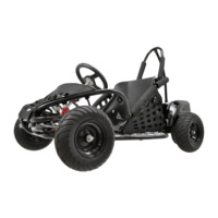 Karting électrique professionnel 201-500cc 1000W F1 avec frein hydraulique 40 km/h pour enfants et adultes
