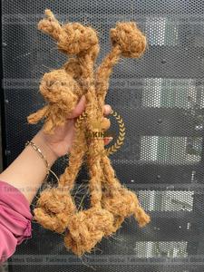 Eco-Friendly Cartoon Coconut Husk <b>Dog</b> Chew Rope-100% Coconut Coir From Vietnam - Product Image 6