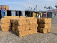 Balle de fibres de coco naturelles, brutes et écologiques pour l'agriculture et la construction, fabriquée au Vietnam