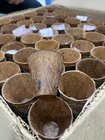 Pots de démarrage de graines de coco biodégradables d'intérieur et d'extérieur Pot de germination de graines naturelles écologiques du Vietnam