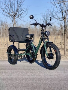 Vélo électrique à 3 roues le plus vendu, siège large avec moteur avant, tricycle électrique avec siège passager - Product Image 5