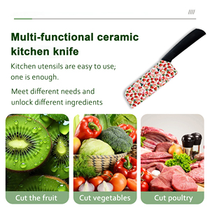 Cuchillo de Chef Japonés de Cerámica Afilada con Mango de Plástico, Cuchillo de Cocina, Suministro al por Mayor, Nuevo, Envío Rápido - Product Image 6