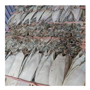 Fournisseur du Vietnam fournissant des feuilles de bambou séchées soigneusement sélectionnées exportateur professionnel assurant un approvisionnement fiable en feuilles de bambou séchées - Product Image 5