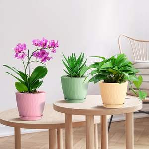 Maceta de plástico colorida para plantas de jardín pequeñas - Product Image 2