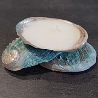 Bougie en coquillage Abalone, bougies parfumées naturelles dans les coquillages, ensemble cadeau spécial, vente en gros, OEM accepté