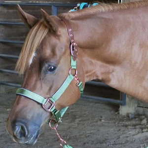 Nouvelles harnais de cheval en corde western personnalisés 2026, les meilleurs harnais en nylon ajustables, élégants et confortables - Product Image 5