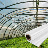 Film plastique agricole imperméable en PE traité anti-UV pour serres, avec PP vierge, vente en gros