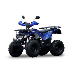 Les fournisseurs chinois produisent 110cc/125cc monocylindre refroidi par air adultes/enfants quatre roues bon marché - Product Image 1