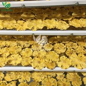 Prix de gros pour saveur sucrée naturelle tranches d'ananas tendre séchées produit agricole du Vietnam produit de fruits secs - Product Image 2